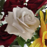 گل رز وافتابگردون بدون گلدان|گل مصنوعی|تهران, هفده شهریور|دیوار