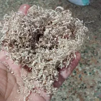 پوشال و خاک  چوب گردو ۱۰۰درصدخشک|لوازم جانبی حیوانات|لنگرود, |دیوار