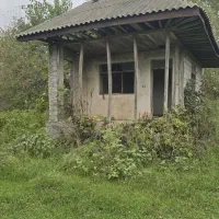کدمهر-37000مترخانه-وشالیزارسنتی-بردوم-آسفالت