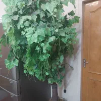 گل و گلدان مصنوعی