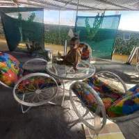 میز با صندلی