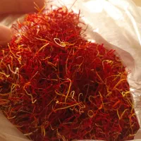 زعفران زعفرون پوشال دستی خشک کردم ۳۰گرم