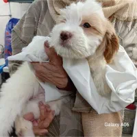 سلام ودورد به دوستان حیوان دوست