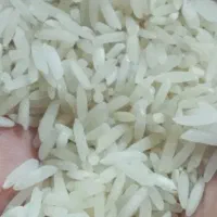 مواد غذایی|خوردنی و آشامیدنی|دابودشت, |دیوار