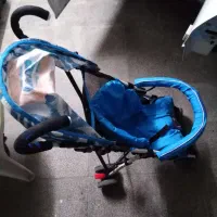 کالسکه عصایی