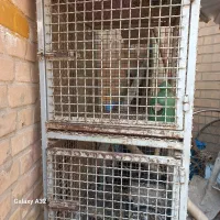 قفس جوجه گیری|لوازم جانبی حیوانات|اهواز, کوی نیرو|دیوار