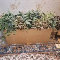 باکس گل همراه گل