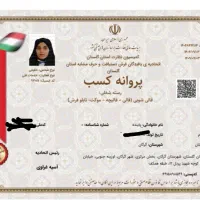 قالی شویی قالیشویی اتوماتیک درخشان VIP