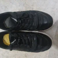 کفش و صندل|کیف، کفش، کمربند|تایباد, |دیوار