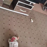 پالاز  درحد نو