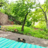 ۵۰۰ متر باغچه در دل کوهستان با بنا و کلبه ای سنتی|فروش زمین و ملک کلنگی|تهران, استخر|دیوار