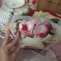 ۲ مدل کشکول بزرگ لمونژ|ظروف سرو و پذیرایی|رشت, یخسازی|دیوار