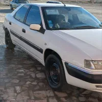 زانتیا کلکسیونی در حد