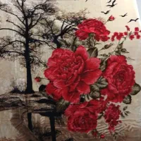 پتو دونفره|رختخواب، بالش، پتو|اهواز, کوی مندلی(سه راه خرمشهر)|دیوار