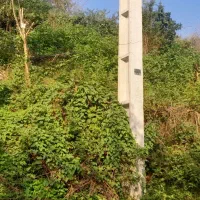 زمین ۱۸۰ متری مسکونی|فروش زمین و ملک کلنگی|اطاقور, |دیوار