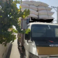 فروش. کاه نرم