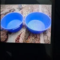 لکن|ظروف نگهدارنده، پلاستیکی، یک‌بارمصرف|فردیس, شهرک ۱۱۰|دیوار