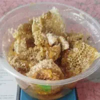 عسل وحشی داروئی