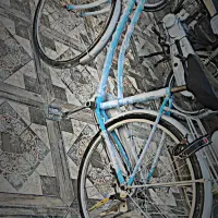 دوچرخه ژاپنی نو