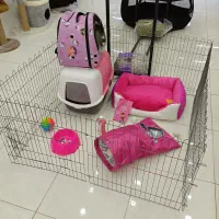 لوازم سگ گربه پارک قلاده ظرف خاک جای خواب اسکرچر