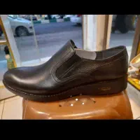 فروش ۲۴۰ جفت کفش بصورت یکجا و کلی به نصف قیمت|کیف، کفش، کمربند|رشت, باهنر|دیوار