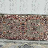دو جفت پشتی