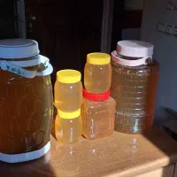 عسل|خوردنی و آشامیدنی|کرج, عظیمیه|دیوار