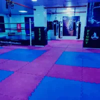 کلاس های آموزش کیک بوکسینگ