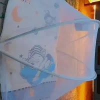 پشه بند