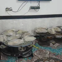 عسل کوهی،عسل سرشاخه، عسل طبیعی