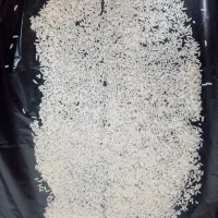 برنج طارم هاشمی اصل