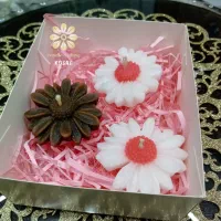 فروش شمع های یلدایی|صنایع دستی و سایر لوازم تزئینی|تکاب, |دیوار