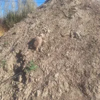 خاک زراعی|خدمات باغبانی و درختکاری|سرعین, |دیوار