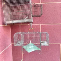 قفس پرنده|لوازم جانبی حیوانات|رباط‌کریم, رباط‌کریم|دیوار