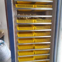 دستگاه جوجه کشی  ۱۸۵۰ تایی|لوازم جانبی حیوانات|شهرکرد, |دیوار