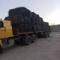 خرید نوار تیپ زنده وسینی نشا