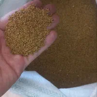 بذر یونجه