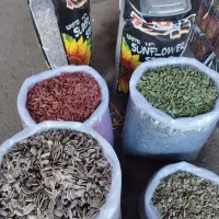 پخش عمده تخمه کرمانشاه و خوی در کرج و هشتگرد