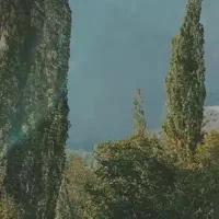 نیازمند همخانه