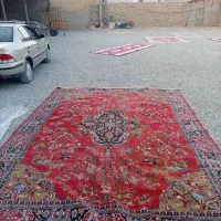 فرش ماشینی|فرش|اسلام‌شهر, شهرک واوان|دیوار