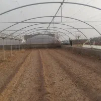 سازه گلخانه 1100 متر|مصالح و تجهیزات ساختمان|دزفول, |دیوار