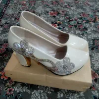 پالتو خوش رنگ و دوجفت کفش مجلسی|کیف، کفش، کمربند|سنندج, |دیوار