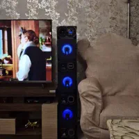 اسپیکر صوتی DENAY در حد صفر