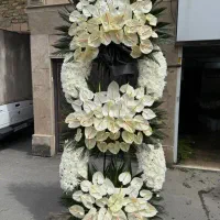 تاج گل دسته گل  سبد جام باکس گل مناسب همه مراسم ها|گل و گیاه طبیعی|تهران, شهرک محلاتی|دیوار