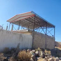 همخونه میشم