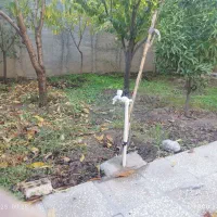 خانه دلند|فروش خانه و ویلا|دلند, |دیوار