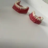 دندانپزشکی