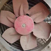 فن رستورانی یا کارگاهی|پنکه و تصفیه‌کنندهٔ هوا|نیشابور, شهرک ولیعصر|دیوار