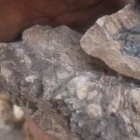 سنگ طلا ۴۰۰ سوت اکسیدی+اموزش استخراج به خریدار
