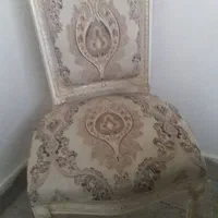 ۶ عدد میزبان